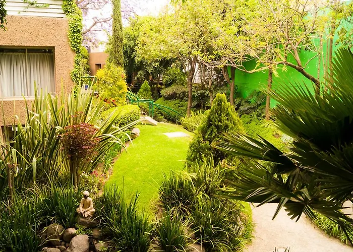 4b Bazzar, Garden House, Welcome To San Angel *