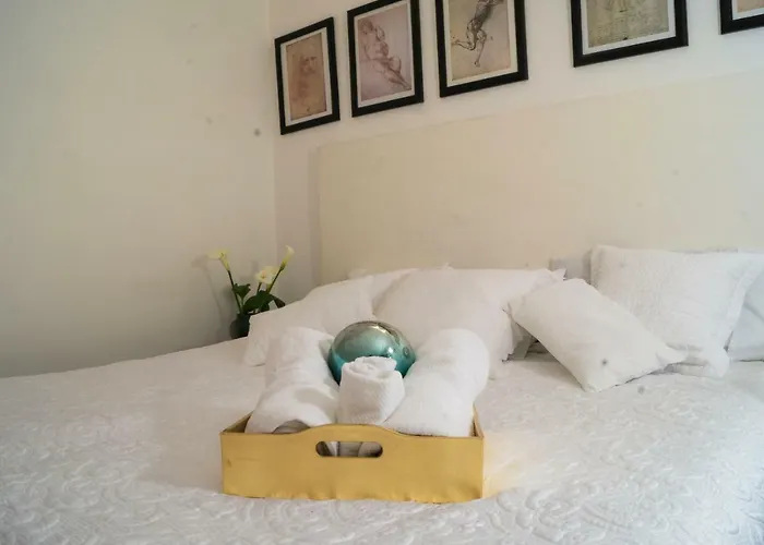 4b Bazzar, Garden House, Welcome To San Angel