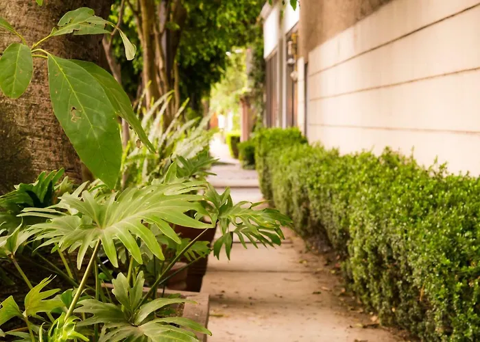 4b Bazzar, Garden House, Welcome To San Angel Apartamento