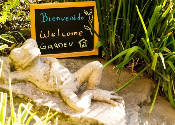 4b Bazzar, Garden House, Welcome To San Angel Apartamento